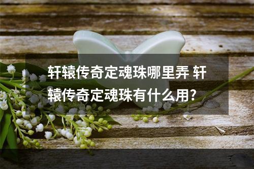 轩辕传奇定魂珠哪里弄 轩辕传奇定魂珠有什么用?