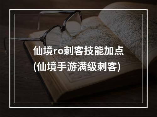 仙境ro刺客技能加点(仙境手游满级刺客)