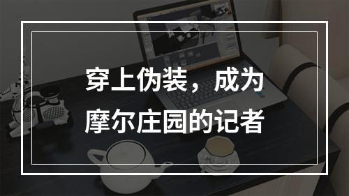 穿上伪装，成为摩尔庄园的记者