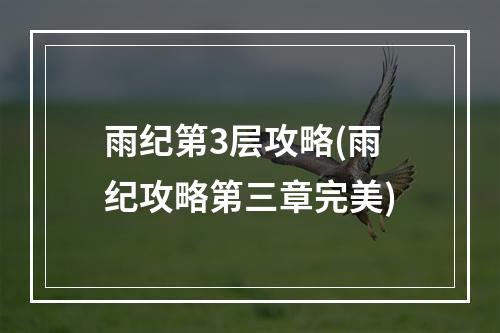 雨纪第3层攻略(雨纪攻略第三章完美)