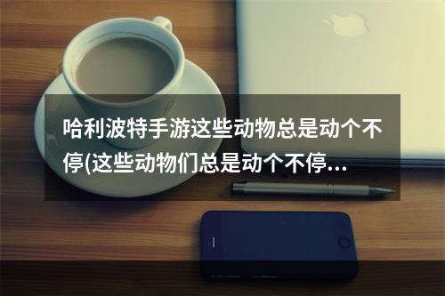 哈利波特手游这些动物总是动个不停(这些动物们总是动个不停NPC在哪里 哈利波特魔法觉醒)