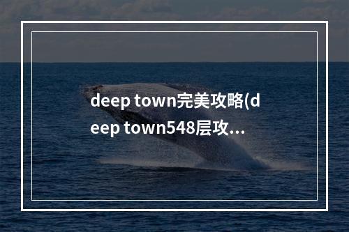 deep town完美攻略(deep town548层攻略)