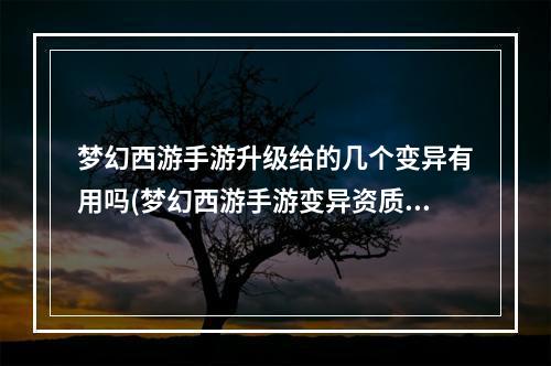 梦幻西游手游升级给的几个变异有用吗(梦幻西游手游变异资质)