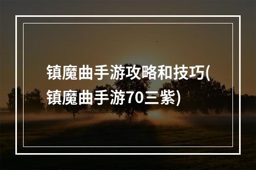 镇魔曲手游攻略和技巧(镇魔曲手游70三紫)