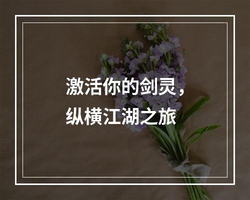 激活你的剑灵，纵横江湖之旅