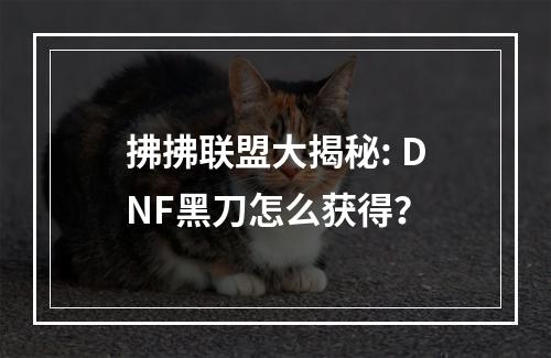 拂拂联盟大揭秘: DNF黑刀怎么获得？