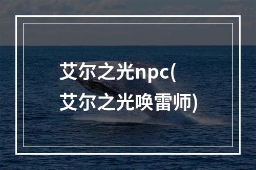 艾尔之光npc(艾尔之光唤雷师)