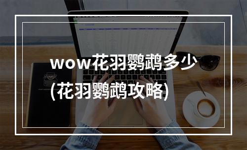 wow花羽鹦鹉多少(花羽鹦鹉攻略)