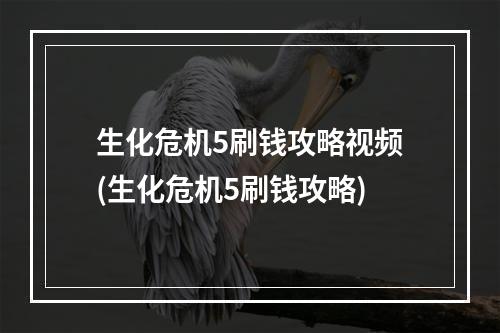 生化危机5刷钱攻略视频(生化危机5刷钱攻略)