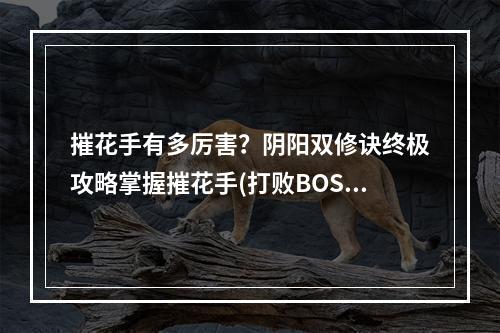 摧花手有多厉害？阴阳双修诀终极攻略掌握摧花手(打败BOSS)