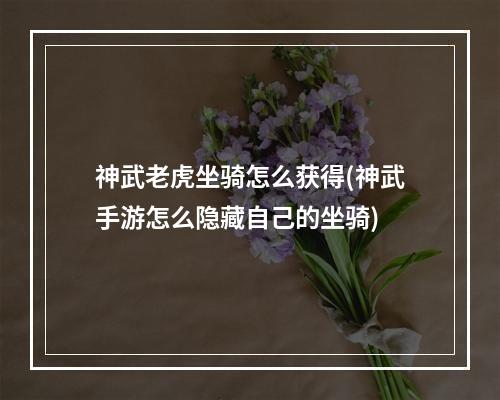 神武老虎坐骑怎么获得(神武手游怎么隐藏自己的坐骑)