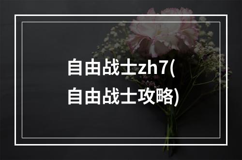 自由战士zh7(自由战士攻略)