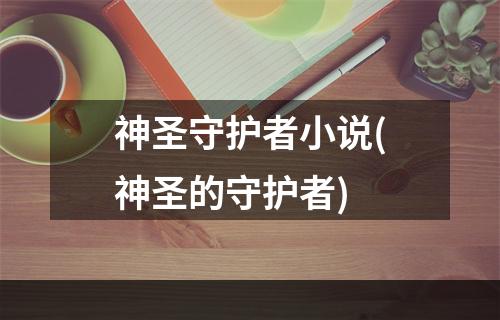 神圣守护者小说(神圣的守护者)