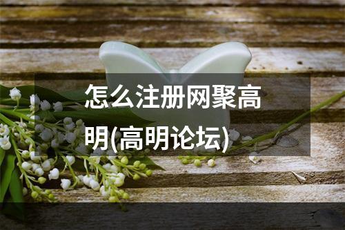 怎么注册网聚高明(高明论坛)