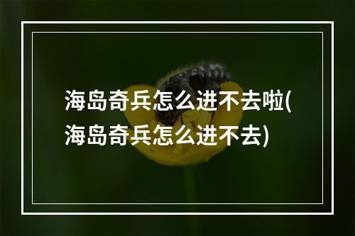 海岛奇兵怎么进不去啦(海岛奇兵怎么进不去)