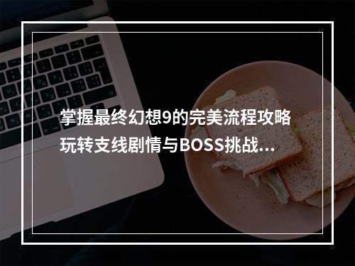 掌握最终幻想9的完美流程攻略 玩转支线剧情与BOSS挑战技巧