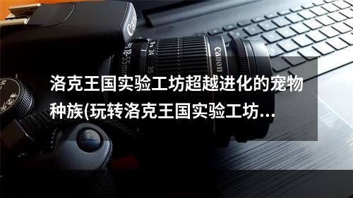 洛克王国实验工坊超越进化的宠物种族(玩转洛克王国实验工坊培养无敌宠物战队)