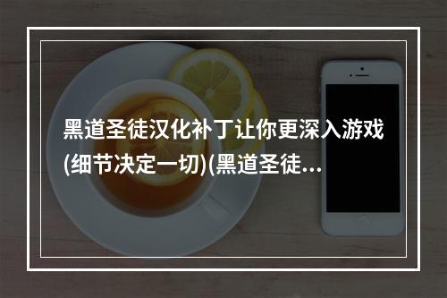 黑道圣徒汉化补丁让你更深入游戏(细节决定一切)(黑道圣徒汉化补丁，中文版流畅畅玩(极致掌控游戏命运))