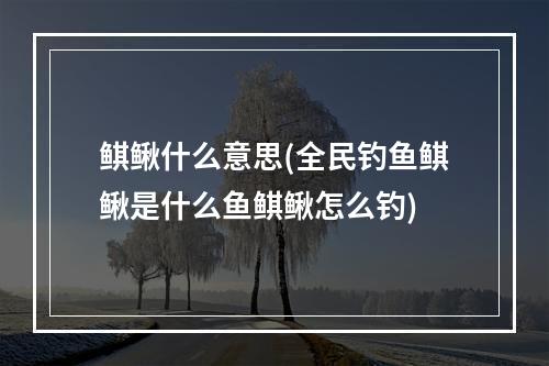 鲯鳅什么意思(全民钓鱼鲯鳅是什么鱼鲯鳅怎么钓)