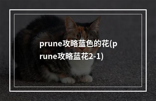 prune攻略蓝色的花(prune攻略蓝花2-1)