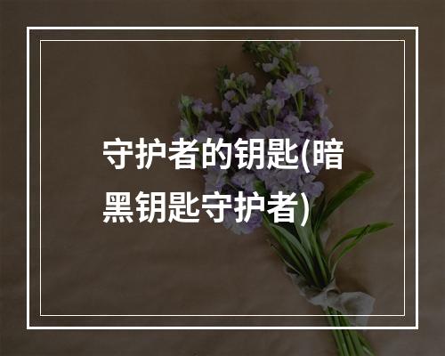 守护者的钥匙(暗黑钥匙守护者)