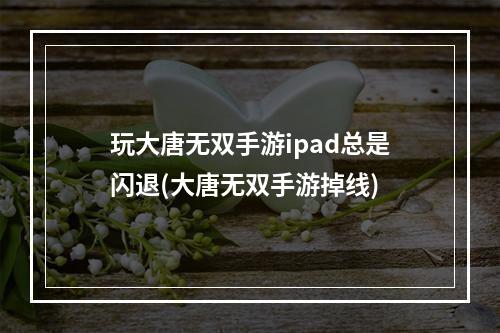 玩大唐无双手游ipad总是闪退(大唐无双手游掉线)