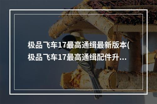 极品飞车17最高通缉最新版本(极品飞车17最高通缉配件升级与组合心得攻略)