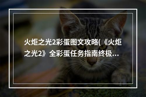 火炬之光2彩蛋图文攻略(《火炬之光2》全彩蛋任务指南终极隐藏任务)