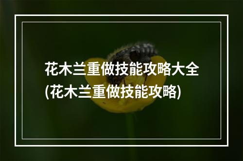 花木兰重做技能攻略大全(花木兰重做技能攻略)