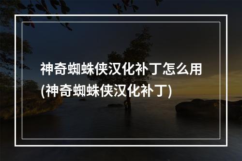 神奇蜘蛛侠汉化补丁怎么用(神奇蜘蛛侠汉化补丁)