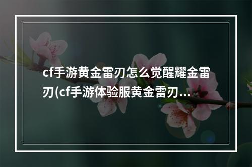 cf手游黄金雷刃怎么觉醒耀金雷刃(cf手游体验服黄金雷刃)