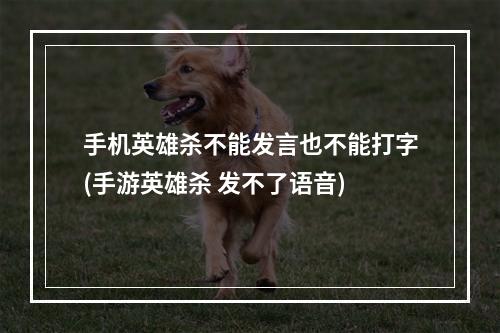 手机英雄杀不能发言也不能打字(手游英雄杀 发不了语音)