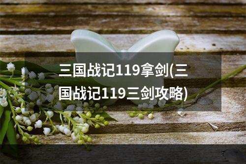 三国战记119拿剑(三国战记119三剑攻略)