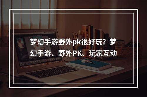 梦幻手游野外pk很好玩？梦幻手游、野外PK、玩家互动