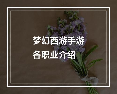 梦幻西游手游各职业介绍