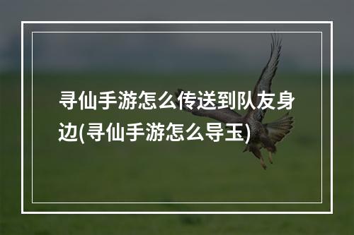 寻仙手游怎么传送到队友身边(寻仙手游怎么导玉)