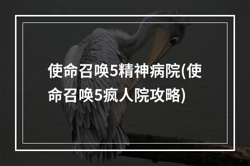 使命召唤5精神病院(使命召唤5疯人院攻略)