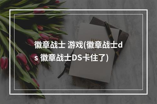 徽章战士 游戏(徽章战士ds 徽章战士DS卡住了)