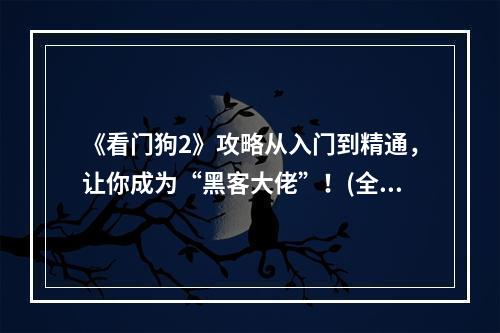 《看门狗2》攻略从入门到精通，让你成为“黑客大佬”！(全关卡、全收集流程攻略)(《看门狗2》秘籍大揭秘，让你轻松完成所有任务！(全收集、全成就攻略))