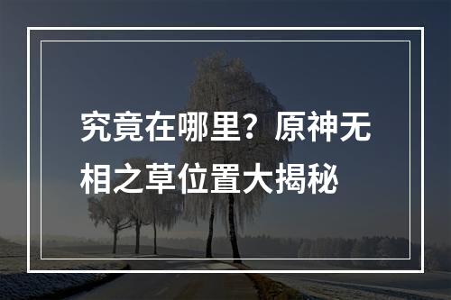 究竟在哪里？原神无相之草位置大揭秘