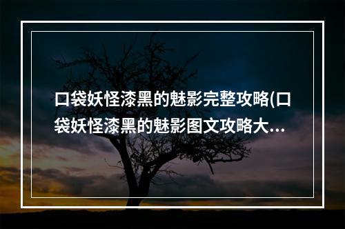 口袋妖怪漆黑的魅影完整攻略(口袋妖怪漆黑的魅影图文攻略大全)