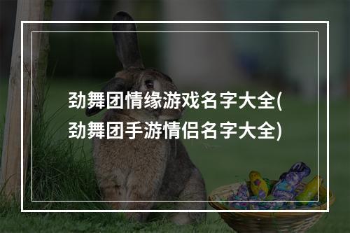 劲舞团情缘游戏名字大全(劲舞团手游情侣名字大全)