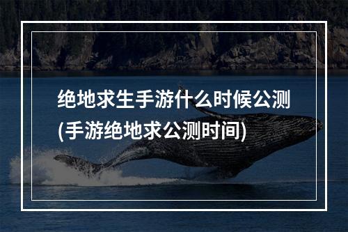 绝地求生手游什么时候公测(手游绝地求公测时间)