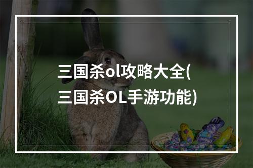 三国杀ol攻略大全(三国杀OL手游功能)