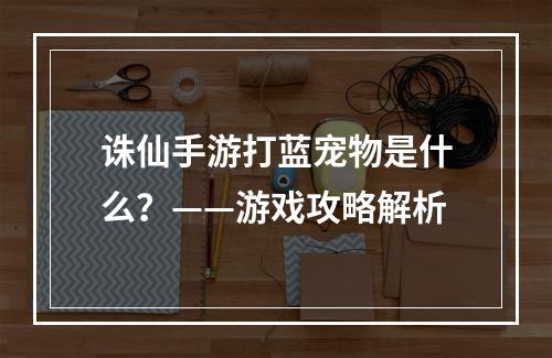 诛仙手游打蓝宠物是什么？——游戏攻略解析