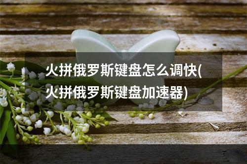 火拼俄罗斯键盘怎么调快(火拼俄罗斯键盘加速器)