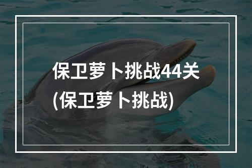 保卫萝卜挑战44关(保卫萝卜挑战)