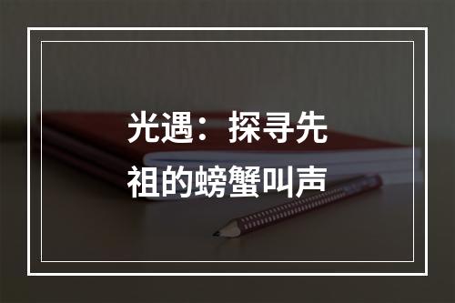 光遇：探寻先祖的螃蟹叫声