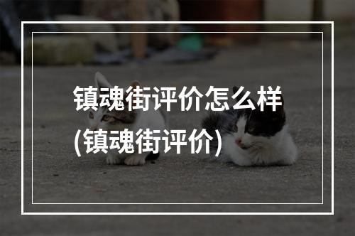 镇魂街评价怎么样(镇魂街评价)