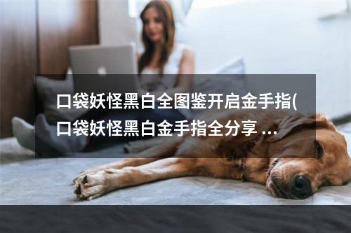 口袋妖怪黑白全图鉴开启金手指(口袋妖怪黑白金手指全分享 单机游戏)